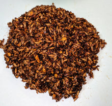 Load image into Gallery viewer, Haley's Pride Elite 13-8 Sweet Feed