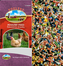 Load image into Gallery viewer, Gamecock Conditioner O'Neals