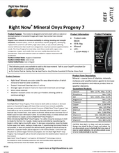 Load image into Gallery viewer, RIGHT NOW Onyx Mineral