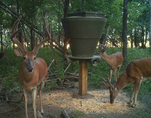 Load image into Gallery viewer, Banks Gravity Feeder 600#