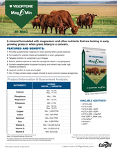 Load image into Gallery viewer, Mag O Min Hi Mag Mineral