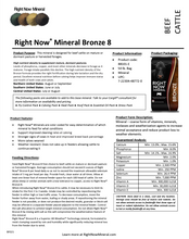 Load image into Gallery viewer, RIGHT NOW Bronze Mineral