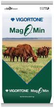 Load image into Gallery viewer, Mag O Min Hi Mag Mineral