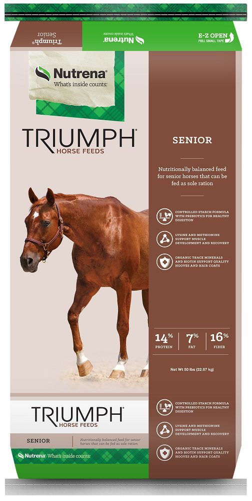 Triumph Senior