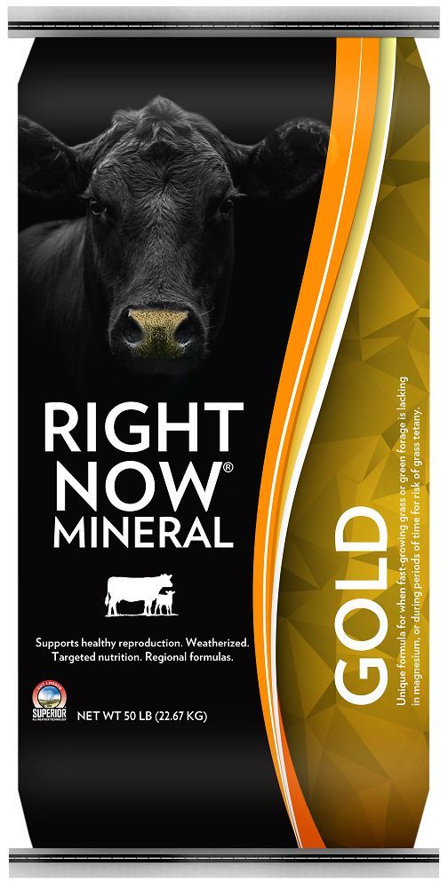 RIGHT NOW Gold Mineral