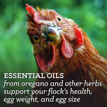 Load image into Gallery viewer, Nutrena Nature Wise Feather Fixer 20% 40#