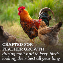 Load image into Gallery viewer, Nutrena Nature Wise Feather Fixer 20% 40#