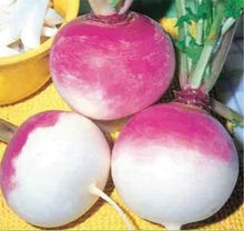 Load image into Gallery viewer, Turnips- Purple Top
