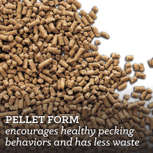 Load image into Gallery viewer, Nutrena Nature Wise Feather Fixer 20% 40#