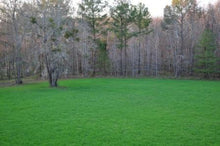 Load image into Gallery viewer, Imperial Whitetail Oats Plus 45#