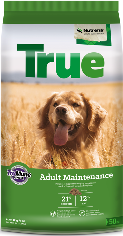 True Adult Maintenance 21 12