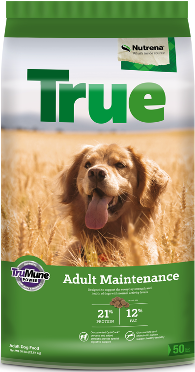 True Adult Maintenance 21-12