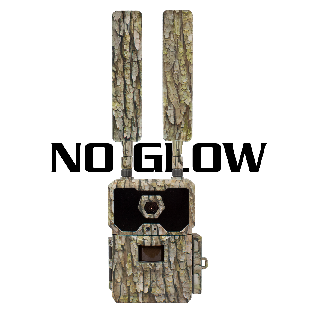 WiseEye Data Cam 2 No Glow