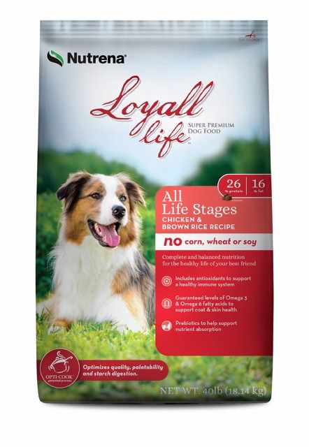 Loyall Life All Life Stages