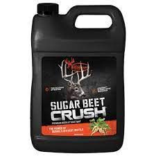 Sugar Beet Crush Juiced