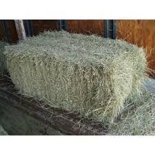 Bermuda Hay Bale
