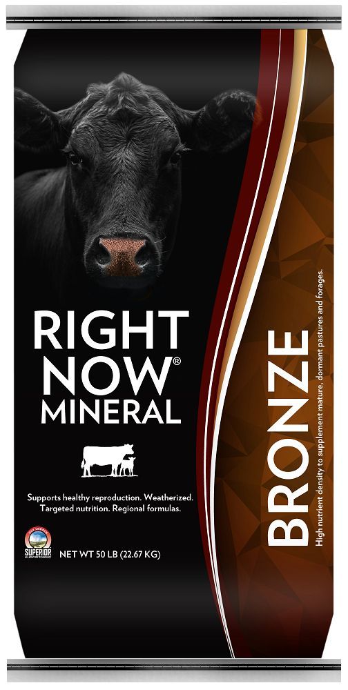 RIGHT NOW Bronze Mineral