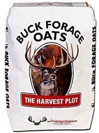 Buck Forage Oats