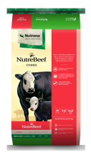 Load image into Gallery viewer, Nutrena® NutreBeef 20% Range Cube
