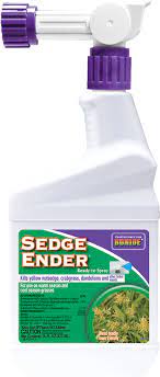 Sedge Ender RTS